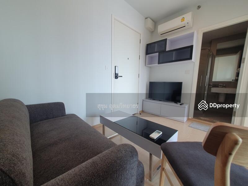 The Tree Sukhumvit 71-Ekamai, Bangkok, 1269 Sukhumvit 71 Road, Suan Luang, Bangkok, 1 Bedroom, 26 sqm, Condo For Rent, by สุขุม อุดมวิทยาธร, 11248386 - DDproperty.com