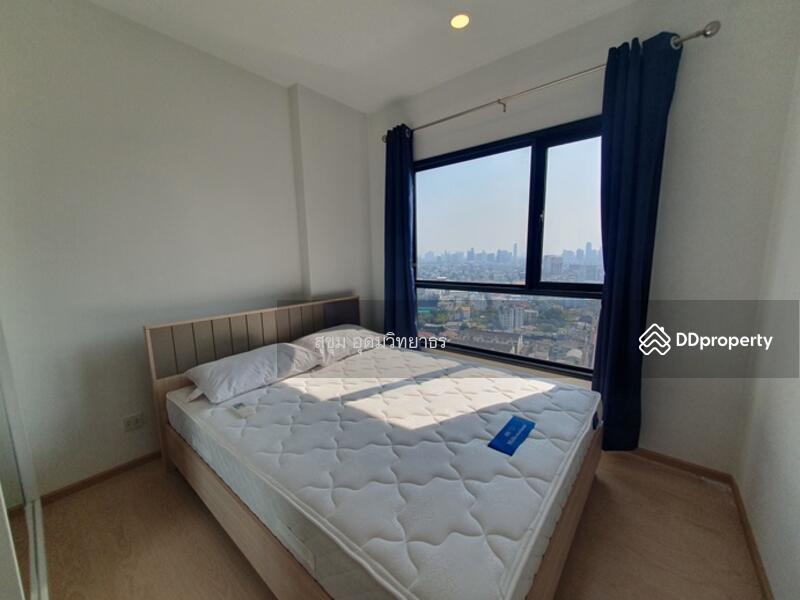 The Tree Sukhumvit 71-Ekamai, Bangkok, 1269 Sukhumvit 71 Road, Suan Luang, Bangkok, 1 Bedroom, 26 sqm, Condo For Rent, by สุขุม อุดมวิทยาธร, 11248386 - DDproperty.com