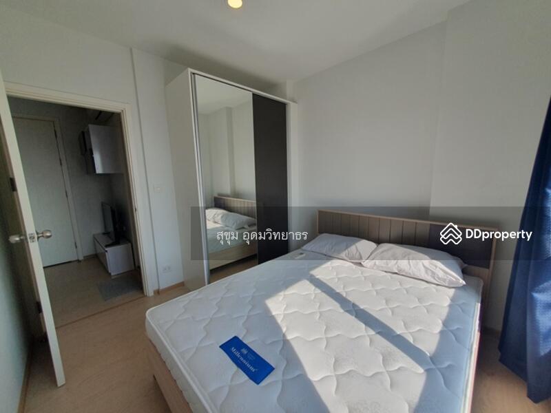 The Tree Sukhumvit 71-Ekamai, Bangkok, 1269 Sukhumvit 71 Road, Suan Luang, Bangkok, 1 Bedroom, 26 sqm, Condo For Rent, by สุขุม อุดมวิทยาธร, 11248386 - DDproperty.com