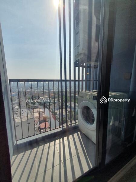 The Tree Sukhumvit 71-Ekamai, Bangkok, 1269 Sukhumvit 71 Road, Suan Luang, Bangkok, 1 Bedroom, 26 sqm, Condo For Rent, by สุขุม อุดมวิทยาธร, 11248386 - DDproperty.com