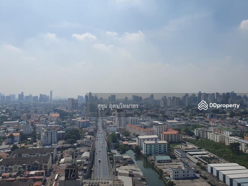 The Tree Sukhumvit 71-Ekamai : เดอะทรี สุขุมวิท 71 – เอกมัย, กรุงเทพ, 1269 ถ. สุขุมวิท 71, สวนหลวง, กรุงเทพ, 26 ตร.ม., คอนโด ให้เช่า, โดย สุขุม อุดมวิทยาธร, 11248386 - DDproperty.com