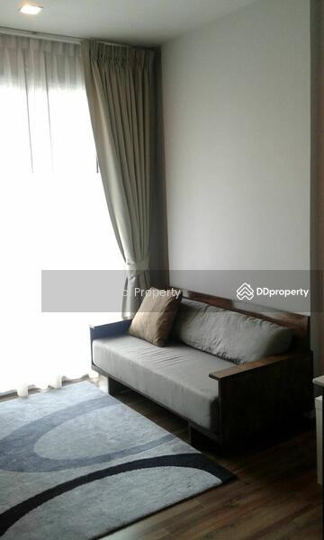 CEIL by Sansiri : ซีล บาย แสนสิริ, กรุงเทพ, 11 ซอยเอกมัย 12 ถนนสุขุมวิท 63, คลองตันเหนือ, วัฒนา, กรุงเทพ, 36 ตร.ม., คอนโด ให้เช่า, โดย Next Step Property, 11248491 - DDproperty.com