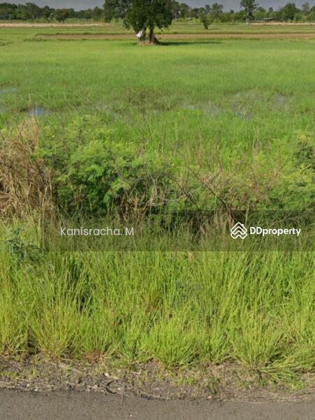 ขาย - ขายที่ดินอำเภอเมืองสุรินทร์ 3ไร่ ติดถนน ใกล้ชุมชน, สุรินทร์