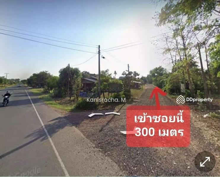 ขาย - ขายที่ดิน 5-0-81ไร่ อำเภอประสาท สุรินทร์  ใกล้ชุมชน, สุรินทร์