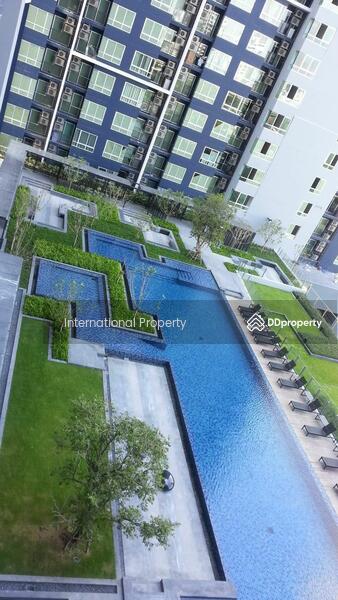 The Base Sukhumvit 77 : เดอะ เบส สุขุมวิท 77, กรุงเทพ, 289 ถนนสุขุมวิท 77, พระโขนงเหนือ, วัฒนา, กรุงเทพ, 31 ตร.ม., คอนโด ให้เช่า, โดย Next Step Property, 11249552 - DDproperty.com