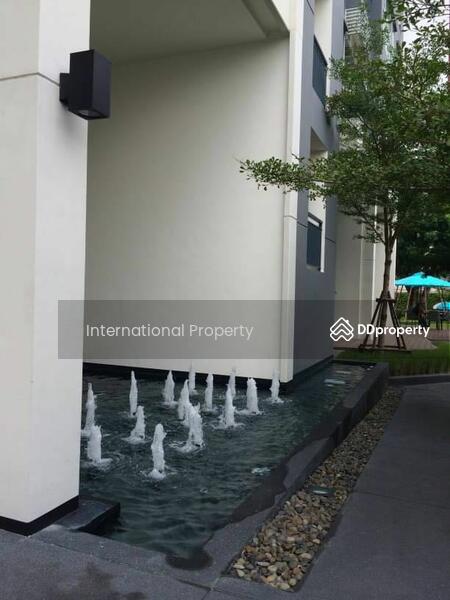 Aspire Sukhumvit 48 : แอสปาย สุขุมวิท 48, กรุงเทพ, ซอยสุขุมวิท 48 ถนนสุขุมวิท แขวงพระโขนง เขตคลองเตย กรุงเทพมหานคร, พระโขนง, คลองเตย, กรุงเทพ, 32 ตร.ม., คอนโด ให้เช่า, โดย Next Step Property, 11249762 - DDproperty.com