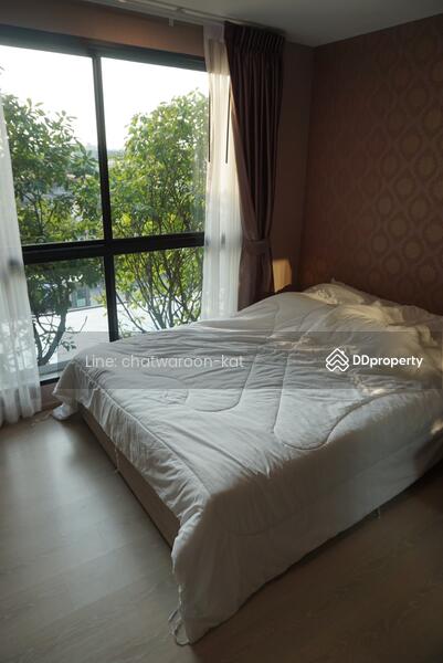 The Excel Groove Lasalle 52, Bangkok, Soi Sukhumvit 105 Lasalle Road, Bang Na, Bang Na, Bangkok, 1 Bedroom, 25 sqm, Condo For Rent, by Line: @KatAgent, 11250572 - DDproperty.com