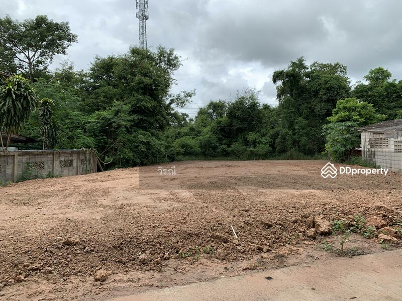 For Sale - ขายท่ีดิน ใกล้โครงกากรแผ่นดินทอง4, Nakhon Ratchasima