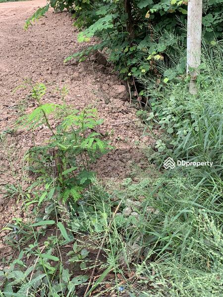 For Sale - ขายท่ีดิน ใกล้โครงกากรแผ่นดินทอง4, Nakhon Ratchasima