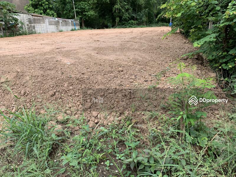 For Sale - ขายท่ีดิน ใกล้โครงกากรแผ่นดินทอง4, Nakhon Ratchasima