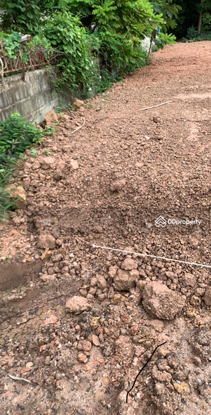 ขาย - ขายท่ีดิน ใกล้โครงกากรแผ่นดินทอง4, นครราชสีมา