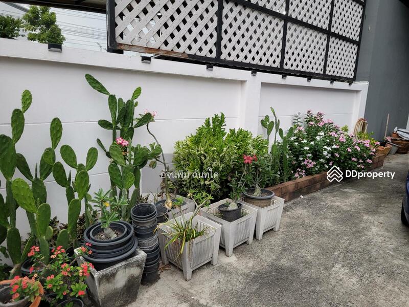 ขาย - แกรนด์วิลล์ปทุมธานี, ปทุมธานี