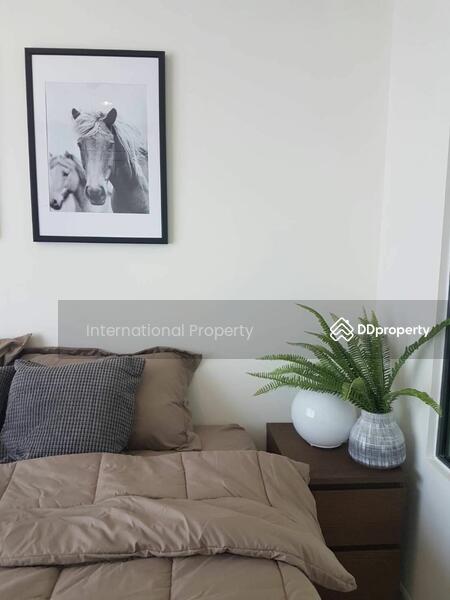 Rhythm Sukhumvit 42, Bangkok, Soi Sukhumvit 42, Sukhumvit Road, Phra Kanong, Khlong Toei, Bangkok, 2 Bedrooms, 78 sqm, Condo For Rent, by Next Step Property, 11253853 - DDproperty.com