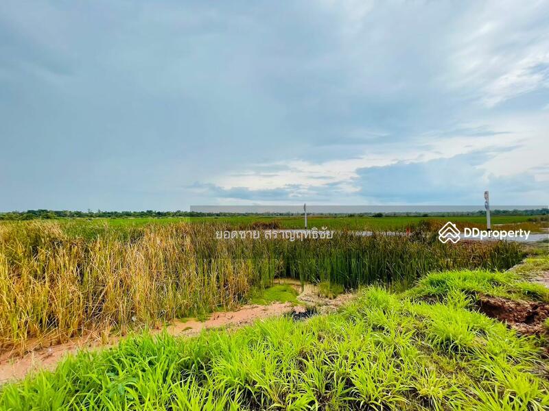 ขายที่ดิน 9-2-67.7 ไร่ ติดถนนวงแหวนรอบเมือง 290 ทิศเหนือ ตอน2 โคราช ติดถนน 2 ด้าน ไร่ละ 1.8 ล้านบาท, นครราชสีมา, ถนนวงแหวนรอบเมือง 290 ทิศเหนือ ตอน2, กำปัง, โนนไทย, นครราชสีมา, 15,471 ตร.ม., ที่ดิน ขาย, โดย ยอดชาย สราญฤทธิชัย, 11254065 - DDproperty.com