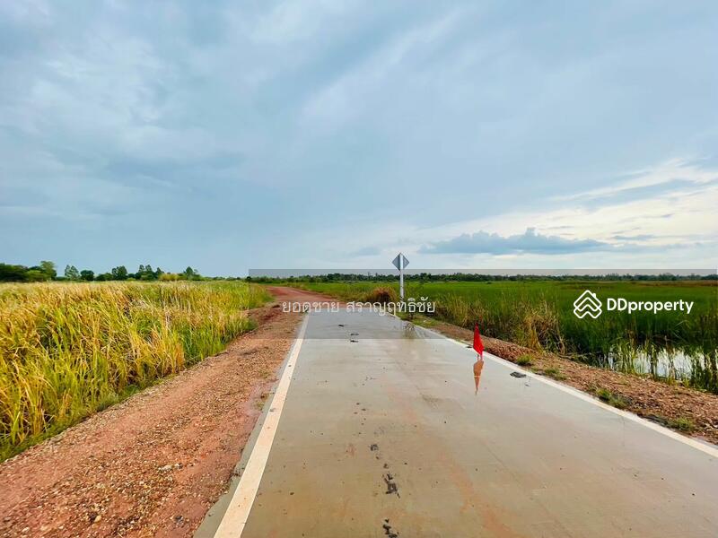 ขายที่ดิน 9-2-67.7 ไร่ ติดถนนวงแหวนรอบเมือง 290 ทิศเหนือ ตอน2 โคราช ติดถนน 2 ด้าน ไร่ละ 1.8 ล้านบาท, นครราชสีมา, ถนนวงแหวนรอบเมือง 290 ทิศเหนือ ตอน2, กำปัง, โนนไทย, นครราชสีมา, 15,471 ตร.ม., ที่ดิน ขาย, โดย ยอดชาย สราญฤทธิชัย, 11254065 - DDproperty.com