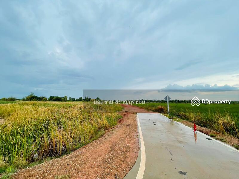 ขายที่ดิน 9-2-67.7 ไร่ ติดถนนวงแหวนรอบเมือง 290 ทิศเหนือ ตอน2 โคราช ติดถนน 2 ด้าน ไร่ละ 1.8 ล้านบาท, นครราชสีมา, ถนนวงแหวนรอบเมือง 290 ทิศเหนือ ตอน2, กำปัง, โนนไทย, นครราชสีมา, 15,471 ตร.ม., ที่ดิน ขาย, โดย ยอดชาย สราญฤทธิชัย, 11254065 - DDproperty.com