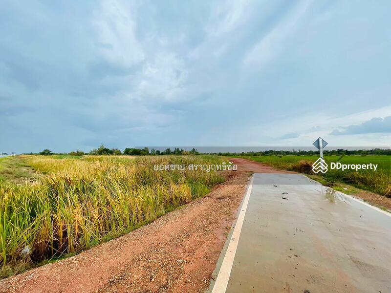 ขายที่ดิน 9-2-67.7 ไร่ ติดถนนวงแหวนรอบเมือง 290 ทิศเหนือ ตอน2 โคราช ติดถนน 2 ด้าน ไร่ละ 1.8 ล้านบาท, นครราชสีมา, ถนนวงแหวนรอบเมือง 290 ทิศเหนือ ตอน2, กำปัง, โนนไทย, นครราชสีมา, 15,471 ตร.ม., ที่ดิน ขาย, โดย ยอดชาย สราญฤทธิชัย, 11254065 - DDproperty.com