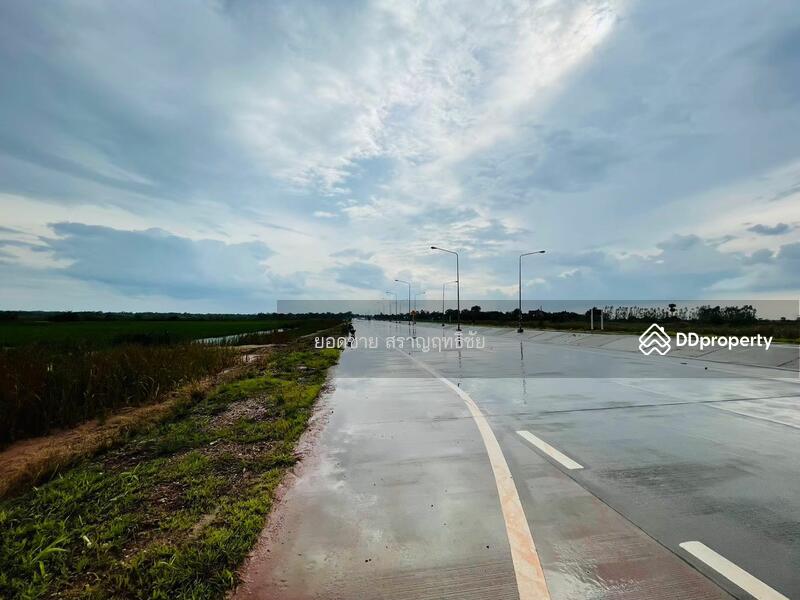 ขายที่ดิน 9-2-67.7 ไร่ ติดถนนวงแหวนรอบเมือง 290 ทิศเหนือ ตอน2 โคราช ติดถนน 2 ด้าน ไร่ละ 1.8 ล้านบาท, นครราชสีมา, ถนนวงแหวนรอบเมือง 290 ทิศเหนือ ตอน2, กำปัง, โนนไทย, นครราชสีมา, 15,471 ตร.ม., ที่ดิน ขาย, โดย ยอดชาย สราญฤทธิชัย, 11254065 - DDproperty.com