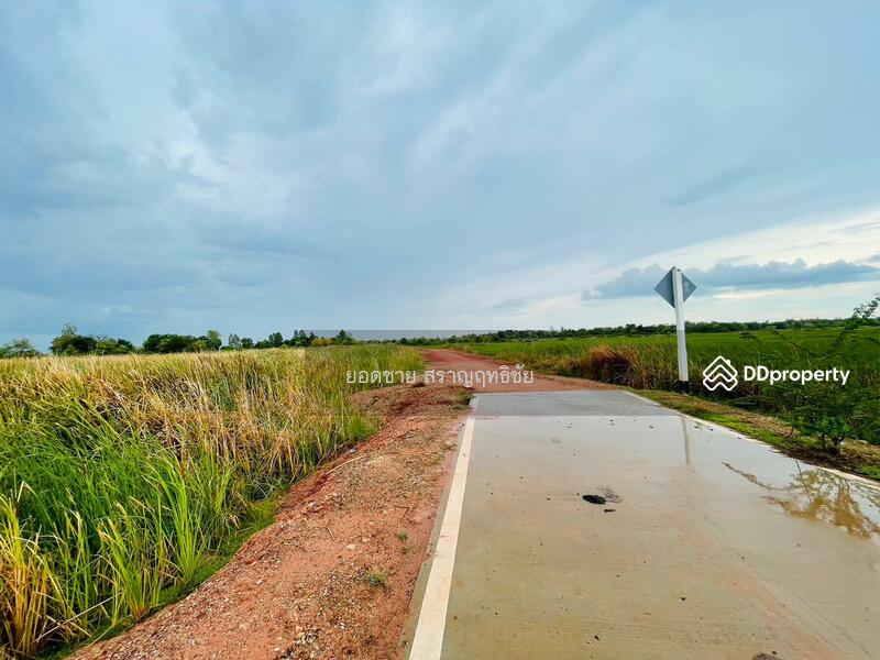 ขายที่ดิน 9-2-67.7 ไร่ ติดถนนวงแหวนรอบเมือง 290 ทิศเหนือ ตอน2 โคราช ติดถนน 2 ด้าน ไร่ละ 1.8 ล้านบาท, นครราชสีมา, ถนนวงแหวนรอบเมือง 290 ทิศเหนือ ตอน2, กำปัง, โนนไทย, นครราชสีมา, 15,471 ตร.ม., ที่ดิน ขาย, โดย ยอดชาย สราญฤทธิชัย, 11254065 - DDproperty.com