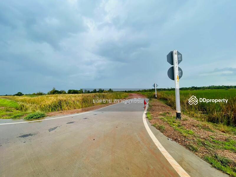 ขายที่ดิน 9-2-67.7 ไร่ ติดถนนวงแหวนรอบเมือง 290 ทิศเหนือ ตอน2 โคราช ติดถนน 2 ด้าน ไร่ละ 1.8 ล้านบาท, นครราชสีมา, ถนนวงแหวนรอบเมือง 290 ทิศเหนือ ตอน2, กำปัง, โนนไทย, นครราชสีมา, 15,471 ตร.ม., ที่ดิน ขาย, โดย ยอดชาย สราญฤทธิชัย, 11254065 - DDproperty.com