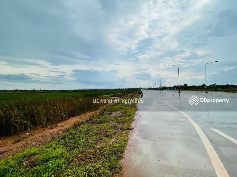 ขายที่ดิน 9-2-67.7 ไร่ ติดถนนวงแหวนรอบเมือง 290 ทิศเหนือ ตอน2 โคราช ติดถนน 2 ด้าน ไร่ละ 1.8 ล้านบาท, นครราชสีมา, ถนนวงแหวนรอบเมือง 290 ทิศเหนือ ตอน2, กำปัง, โนนไทย, นครราชสีมา, 15,471 ตร.ม., ที่ดิน ขาย, โดย ยอดชาย สราญฤทธิชัย, 11254065 - DDproperty.com