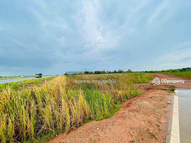 ขายที่ดิน 9-2-67.7 ไร่ ติดถนนวงแหวนรอบเมือง 290 ทิศเหนือ ตอน2 โคราช ติดถนน 2 ด้าน ไร่ละ 1.8 ล้านบาท, นครราชสีมา, ถนนวงแหวนรอบเมือง 290 ทิศเหนือ ตอน2, กำปัง, โนนไทย, นครราชสีมา, 15,471 ตร.ม., ที่ดิน ขาย, โดย ยอดชาย สราญฤทธิชัย, 11254065 - DDproperty.com