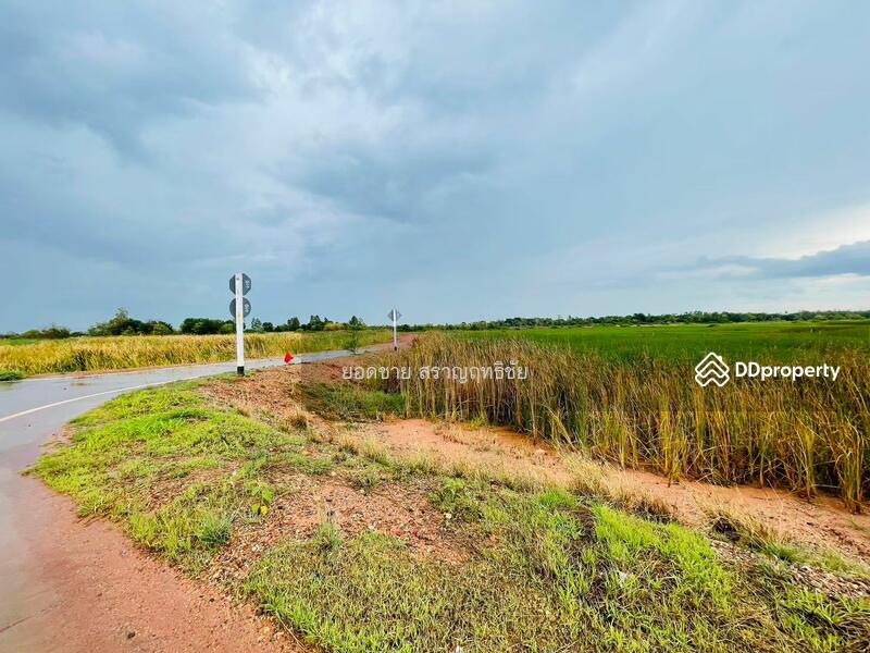 ขายที่ดิน 9-2-67.7 ไร่ ติดถนนวงแหวนรอบเมือง 290 ทิศเหนือ ตอน2 โคราช ติดถนน 2 ด้าน ไร่ละ 1.8 ล้านบาท, นครราชสีมา, ถนนวงแหวนรอบเมือง 290 ทิศเหนือ ตอน2, กำปัง, โนนไทย, นครราชสีมา, 15,471 ตร.ม., ที่ดิน ขาย, โดย ยอดชาย สราญฤทธิชัย, 11254065 - DDproperty.com