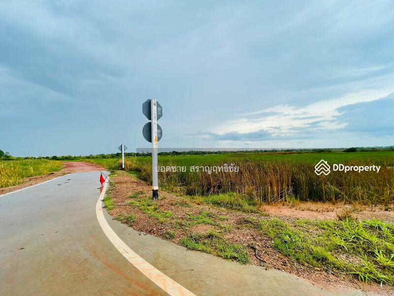 ขายที่ดิน 9-2-67.7 ไร่ ติดถนนวงแหวนรอบเมือง 290 ทิศเหนือ ตอน2 โคราช ติดถนน 2 ด้าน ไร่ละ 1.8 ล้านบาท, นครราชสีมา, ถนนวงแหวนรอบเมือง 290 ทิศเหนือ ตอน2, กำปัง, โนนไทย, นครราชสีมา, 15,471 ตร.ม., ที่ดิน ขาย, โดย ยอดชาย สราญฤทธิชัย, 11254065 - DDproperty.com