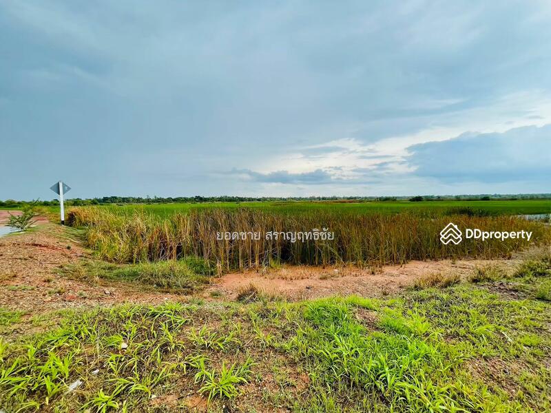 ขายที่ดิน 9-2-67.7 ไร่ ติดถนนวงแหวนรอบเมือง 290 ทิศเหนือ ตอน2 โคราช ติดถนน 2 ด้าน ไร่ละ 1.8 ล้านบาท, นครราชสีมา, ถนนวงแหวนรอบเมือง 290 ทิศเหนือ ตอน2, กำปัง, โนนไทย, นครราชสีมา, 15,471 ตร.ม., ที่ดิน ขาย, โดย ยอดชาย สราญฤทธิชัย, 11254065 - DDproperty.com