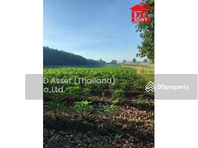 ขาย - ขายที่ดิน ตำบล ห้างสูง อำเภอหนองใหญ่ ชลบุรี ติดถนนลาดยาง รหัส L8008, ชลบุรี