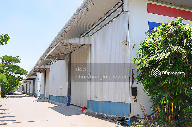 โกดัง สุวรรณภูมิ พัฒนาชนบท 3, กรุงเทพ, คลองสองต้นนุ่น, ลาดกระบัง, กรุงเทพ, 450 ตร.ม., โกดัง-โรงงาน ให้เช่า, โดย Tida phanthonglarptawee, 11254481 - DDproperty.com