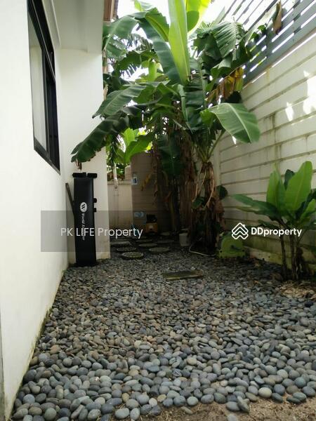 5R0323 This house for rent 3bedrooms 2bathrooms 35,000/month at kathu have fully furnished, ภูเก็ต, กะทู้, กะทู้, ภูเก็ต, 150 ตร.ม., บ้านเดี่ยว ให้เช่า, โดย PK LIFE Property, 11255541 - DDproperty.com