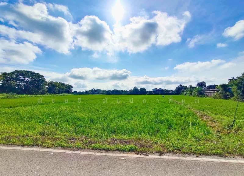 Land for sale, near the Eastern Bypass Road, Chiang Rai, 13-2-50 rai, Chiang Rai, ถนนเลี่ยงเมืองตะวันออก เชียงราย, Ban Du, Muang Chiang Rai, Chiang Rai, , 21,800 sqm, Land For Sale, by ฌัชษชี ฌัชปภาส์มณ, 11255721 - DDproperty.com