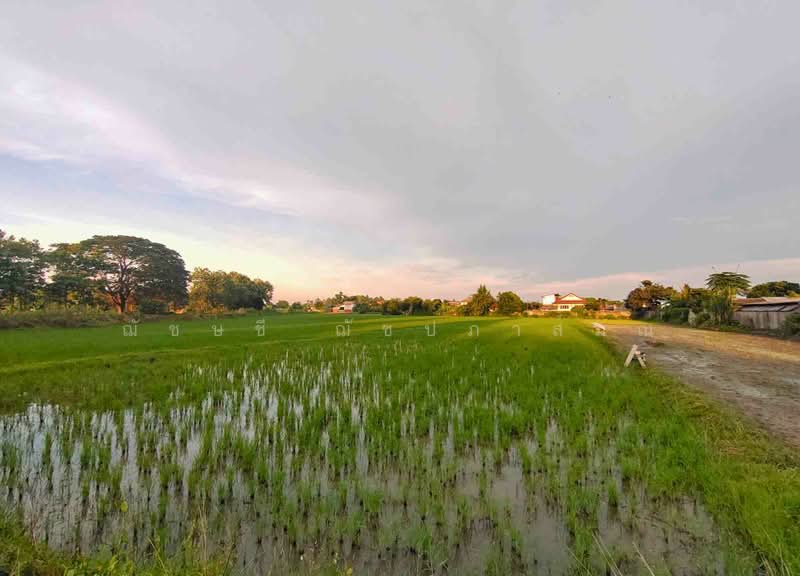 ขายที่ดิน 13-2-50 ไร่ ใกล้ถนนบายพาสฝั่งตะวันออก ตรงข้ามสนามบินเชียงราย, เชียงราย, ถนนเลี่ยงเมืองตะวันออก เชียงราย, บ้านดู่, เมืองเชียงราย, เชียงราย, 21,800 ตร.ม., ที่ดิน ขาย, โดย ฌัชษชี ฌัชปภาส์มณ, 11255721 - DDproperty.com