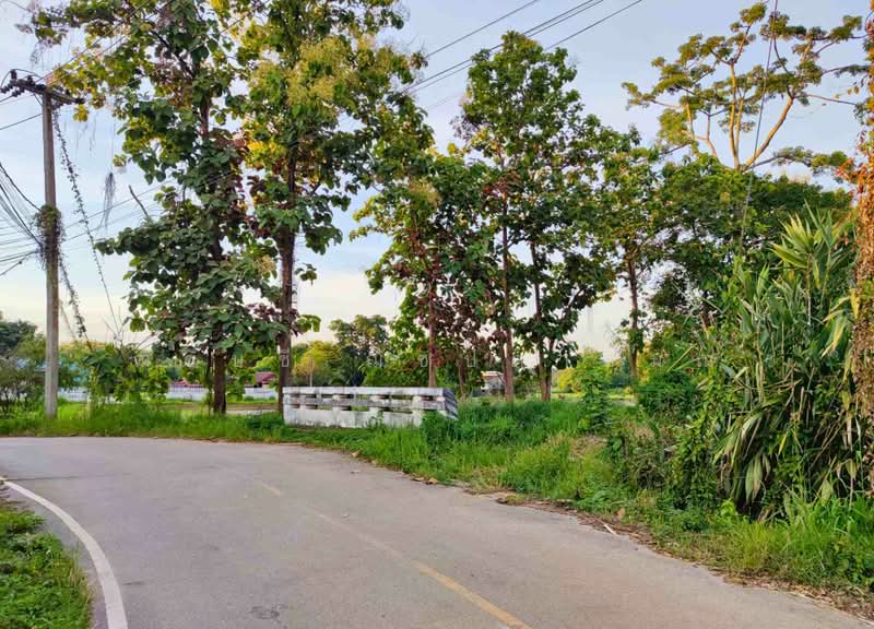 ขายที่ดิน 13-2-50 ไร่ ใกล้ถนนบายพาสฝั่งตะวันออก ตรงข้ามสนามบินเชียงราย, เชียงราย, ถนนเลี่ยงเมืองตะวันออก เชียงราย, บ้านดู่, เมืองเชียงราย, เชียงราย, 21,800 ตร.ม., ที่ดิน ขาย, โดย ฌัชษชี ฌัชปภาส์มณ, 11255721 - DDproperty.com