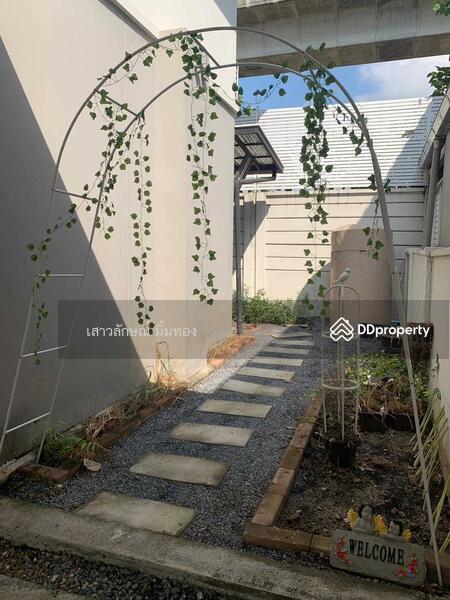 Baan Klang Muang The Edition Rama 9-Onnut : บ้านกลางเมือง ดิ อิดิชชั่น พระราม 9-อ่อนนุช, กรุงเทพ, ทางหลวงพิเศษหมายเลข ทางคู่ขนาน 7, ประเวศ, ประเวศ, กรุงเทพ, 125 ตร.ม., บ้านเดี่ยว ให้เช่า, โดย เสาวลักษณ์ มิ้มทอง, 11256130 - DDproperty.com