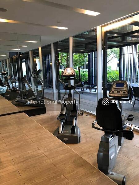 The Base Sukhumvit 77 : เดอะ เบส สุขุมวิท 77, กรุงเทพ, 289 ถนนสุขุมวิท 77, พระโขนงเหนือ, วัฒนา, กรุงเทพ, 30 ตร.ม., คอนโด ให้เช่า, โดย Next Step Property, 11256292 - DDproperty.com