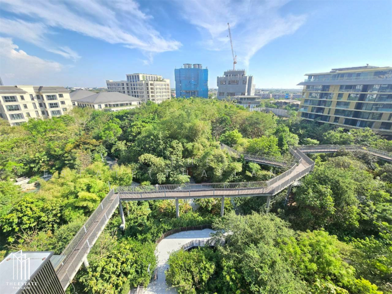 Mulberry Grove The Forestias Condo : มัลเบอร์รี โกรฟ เดอะ ฟอเรสเทียส์ คอนโด, สมุทรปราการ, ถนนบางนา-ตราด, บางแก้ว, บางพลี, สมุทรปราการ, 224 ตร.ม., คอนโด ขาย, โดย The Estate(Thailand)  Limited, 11257580 - DDproperty.com