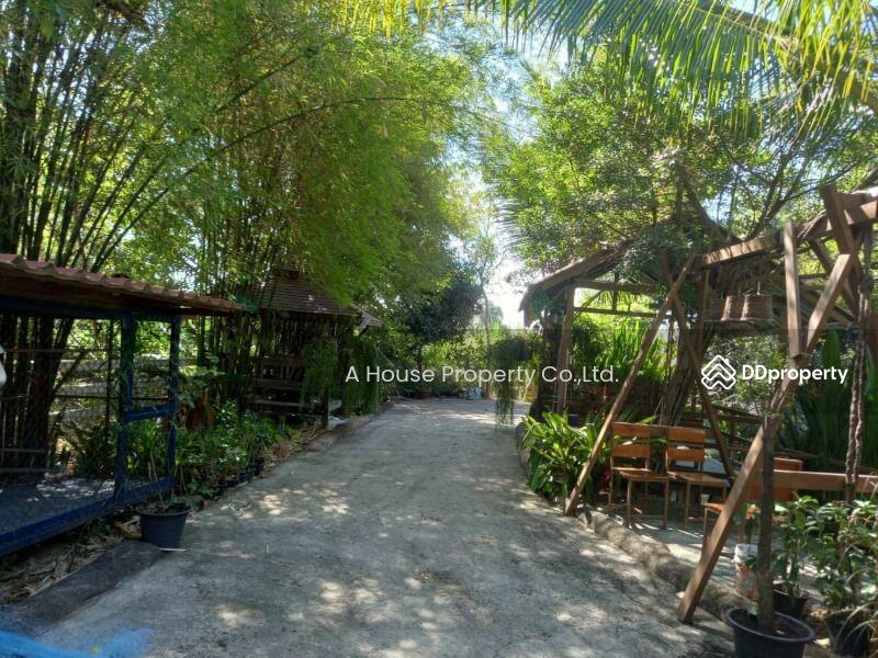 Beautiful plot of land for sale, next to the road, near Sriracha Tiger Zoo, Nong Kham., Chon Buri (Pattaya), Nong - Kham, Si Racha, Chon Buri (Pattaya), , 10,196 sqm, Land For Sale, by A House Property Co.,Ltd., 11259174 - DDproperty.com