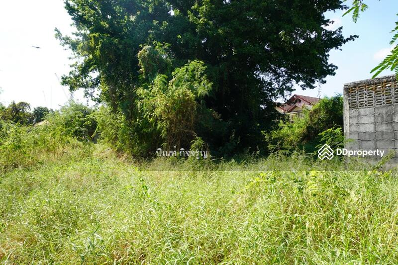 ซอยท่านคุณหญิงพหล, Bangkok, Lat Yao, Chatuchak, Bangkok, , 1,636 sqm, Land For Sale, by Prin Kitjaroon, 11259747 - DDproperty.com