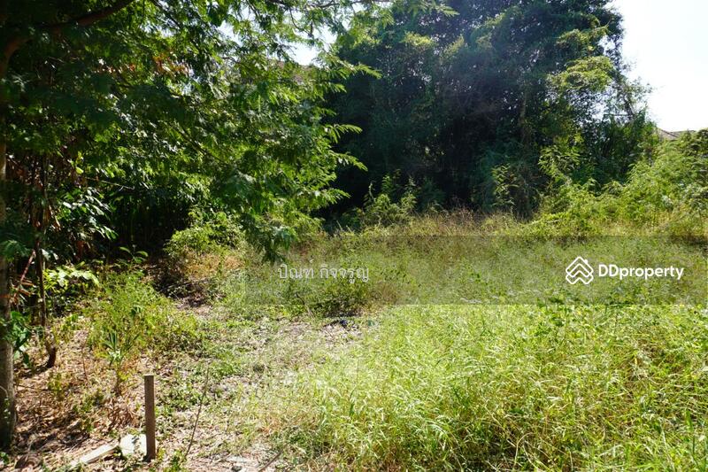 ซอยท่านคุณหญิงพหล, Bangkok, Lat Yao, Chatuchak, Bangkok, , 1,636 sqm, Land For Sale, by Prin Kitjaroon, 11259747 - DDproperty.com