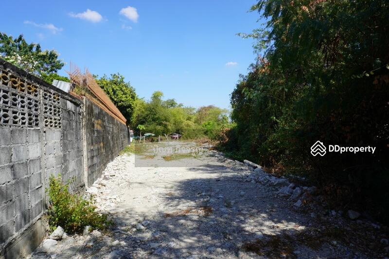 ซอยท่านคุณหญิงพหล, Bangkok, Lat Yao, Chatuchak, Bangkok, , 1,636 sqm, Land For Sale, by Prin Kitjaroon, 11259747 - DDproperty.com