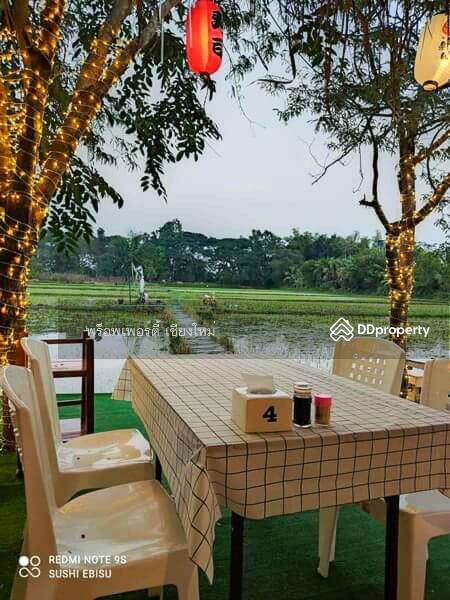 ขาย - ขายหรือเช่าวิลล่ารีสอร์ทและร้านอาหาร 5 แห่งในสันกำแพง เชียงใหม่ - PC-SANK002, เชียงใหม่