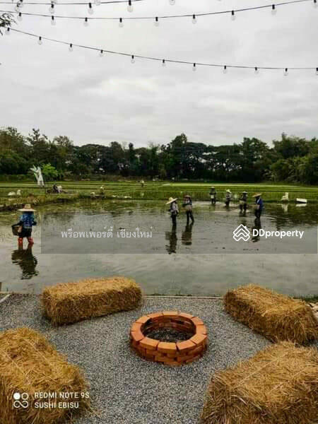 5 Villa Resort & Restaurant For Sale Or Rent In San Kamphaeng, Chiang Mai - PC-SANK002, Chiang Mai, San Kamphaeng, San Kamphaeng, Chiang Mai, , 1,000 sqm, Business For Sale, by Elijah Ridgley, 11260361 - DDproperty.com