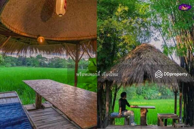 ขาย - ขายหรือเช่าวิลล่ารีสอร์ทและร้านอาหาร 5 แห่งในสันกำแพง เชียงใหม่ - PC-SANK002, เชียงใหม่