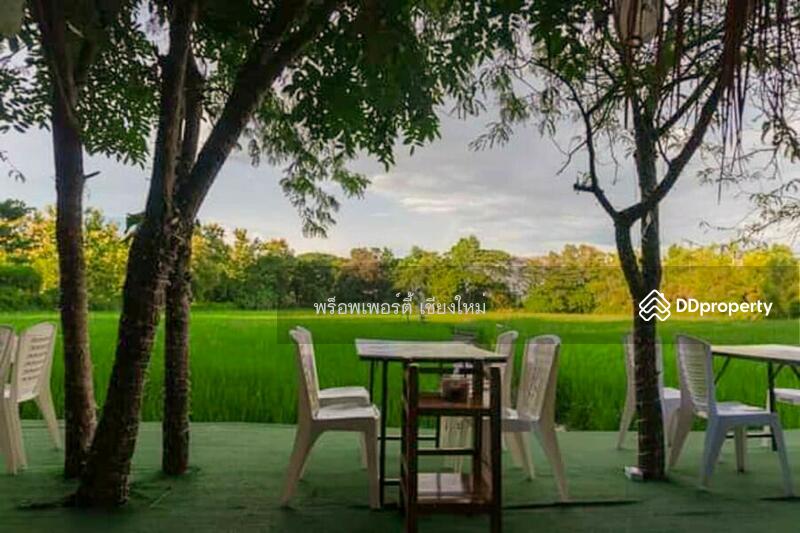 5 Villa Resort & Restaurant For Sale Or Rent In San Kamphaeng, Chiang Mai - PC-SANK002, Chiang Mai, San Kamphaeng, San Kamphaeng, Chiang Mai, , 1,000 sqm, Business For Sale, by Elijah Ridgley, 11260361 - DDproperty.com