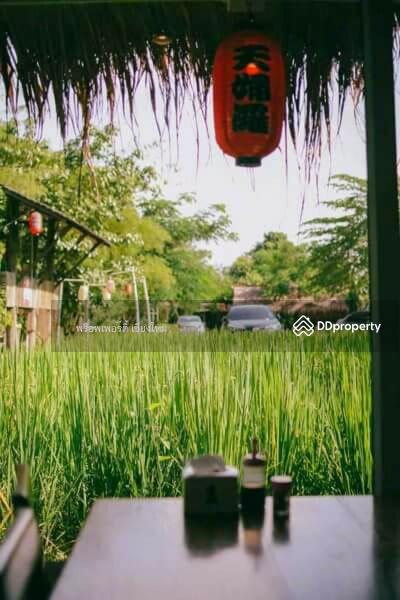 ขาย - ขายหรือเช่าวิลล่ารีสอร์ทและร้านอาหาร 5 แห่งในสันกำแพง เชียงใหม่ - PC-SANK002, เชียงใหม่