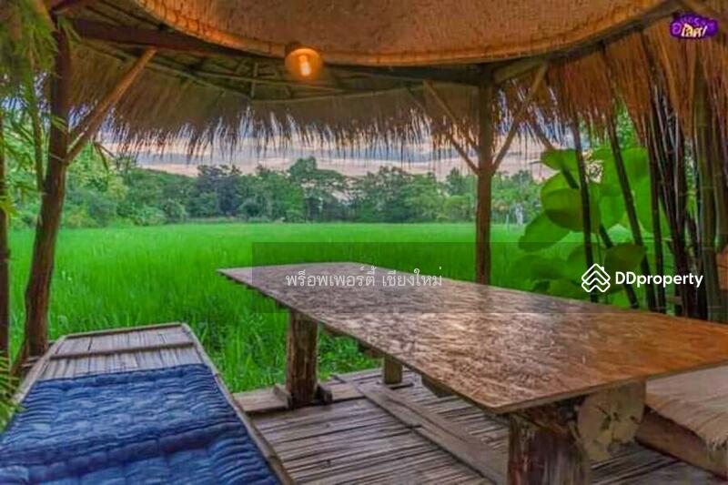 5 Villa Resort & Restaurant For Sale Or Rent In San Kamphaeng, Chiang Mai - PC-SANK002, Chiang Mai, San Kamphaeng, San Kamphaeng, Chiang Mai, , 1,000 sqm, Business For Sale, by Elijah Ridgley, 11260361 - DDproperty.com