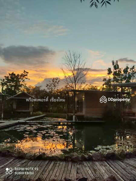 5 Villa Resort & Restaurant For Sale Or Rent In San Kamphaeng, Chiang Mai - PC-SANK002, Chiang Mai, San Kamphaeng, San Kamphaeng, Chiang Mai, , 1,000 sqm, Business For Sale, by Elijah Ridgley, 11260361 - DDproperty.com
