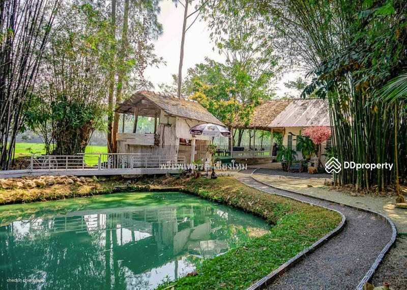5 Villa Resort & Restaurant For Sale Or Rent In San Kamphaeng, Chiang Mai - PC-SANK002, Chiang Mai, San Kamphaeng, San Kamphaeng, Chiang Mai, , 1,000 sqm, Business For Sale, by Elijah Ridgley, 11260361 - DDproperty.com